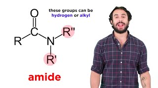 Properties of Amides [upl. by Aynekat]