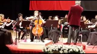 Boccherini Cello Concerto B flat Major [upl. by Nahs]