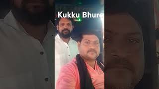 Kukku Bhure yaari dosti  song love [upl. by Funk]