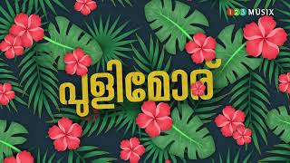 Nadan Pattu  Best Of Malayalam Nadan Pattukal  Folk Songs  Appalaale [upl. by Acinehs]