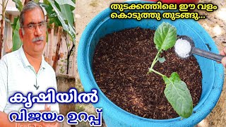 Urea Fertilizer  How to use Urea Fertilizer on Plants Malayalam  Nitrogen Fertilizer for Plants [upl. by Kaile614]