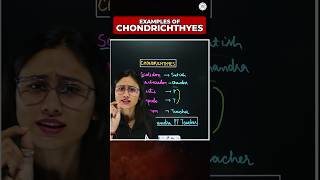 🔴CHONDRICHTHYES EXAMPLES In 1 Minute  TRICK TO LEARN ytshorts shortsfeed neet ytshortsfeature [upl. by Biddle]