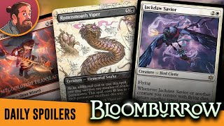 Combo Crow Stormy Otter and More  Bloomburrow MTG Spoilers [upl. by Monahon]