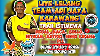 LIVE LELANG TEAM ADI JAYA KARAWANG DIKANDANG BEGAL [upl. by Rhoades]