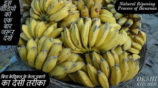 बिना केमिकल के कच्चे केले पकाने का ऐसा तरीका वीडियो एक बार जरूर देखेartificial ripening of banana [upl. by Anayik]