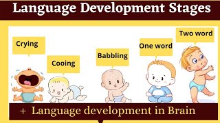 language development stages in childhood  babbling cooing [upl. by Anitsirhk]