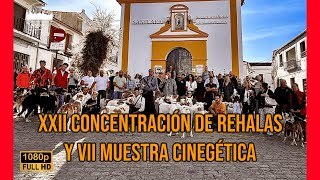 XXII CONCENTRACIÓN DE REHALAS Y VII MUESTRA CINEGÉTICA 2024 PASEO DE REHALAS Y MUESTRA CINEGÉTICA [upl. by Anwahsed302]