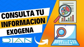 Cómo Consultar Información Exógena en la DIAN  Tutorial Paso a Paso [upl. by Assila]