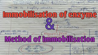 immobilisation of enzyme method [upl. by Isabelita268]