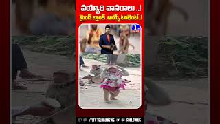 కోతి వయ్యారి డాన్స్ కి మైండ్ బ్లాక్ అవ్వాల్సిందే   Monkey Dance  1TV NEWS  monkey [upl. by Takakura]