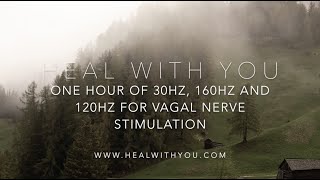 One Hour Solfeggio Frequencies For Vagal Nerve Stimulation  30Hz 160Hz and 120Hz [upl. by Nodnerb]