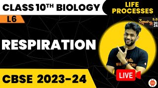 Respiration Life Processes L6 CBSE Class 10 Biology Amrit Sir Vedantu910 [upl. by Lissie]