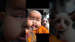 Little monk so cute 🥰😍😘cute babyvideos littlemonk funny [upl. by Mariette729]