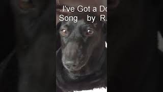 Sallys Song ive got a dog [upl. by Irami353]