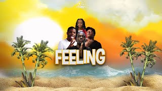 Feeling  Nz Gang VIDEO LYRICS [upl. by Ijuy358]