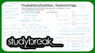 Produktionsfunktion Skalenerträge  Mikroökonomie [upl. by Aromat]