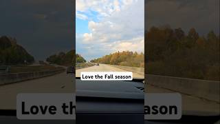 FALL SEASON fallseason shortsvideo shortsfeed shortvideo shorts short shortsviral usa [upl. by Titus760]