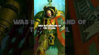 Space Marine Company vs Legion warhammer warhammer40k lore explained [upl. by Lesig]