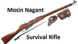 Mosin Nagant  King of the Survival Rifles [upl. by Lemahs]