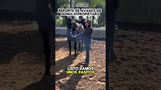 Reporte de Avance de Doma en Agua Zarca Caballos Españoles [upl. by Ahsyak967]