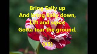 Moby  Flower Lyrics [upl. by Aynwat]