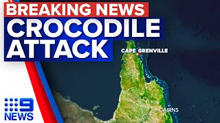 Crocodile attack off remote island in Far North Queensland  9 News Australia [upl. by Eetnom]