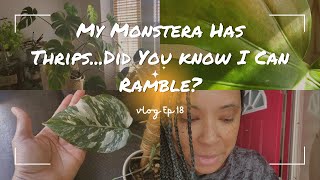 My Monstera Has ThripsDid You Know I Can Ramble  Ep 18 [upl. by Rici486]