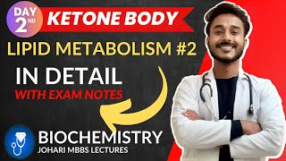 ketone body biochemistry  ketone body metabolism  utilization of ketone bodies  ketogenesis [upl. by Heyra]