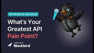 API World Greatest API Pain Points in 2024 [upl. by Enelav]