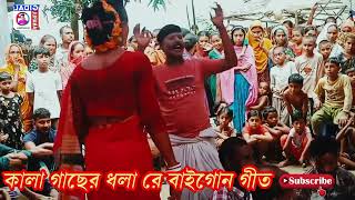 🔥কালা গাছের ধলা রে 🔥গাইবান্ধার ভাইরাল গীত🔥 [upl. by Amitarp]