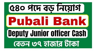 Pubali Bank New Job Circular 2024 Deputy Junior Officer Cash [upl. by Yelahc343]