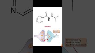 Iproniazid history in hindi [upl. by Edouard]