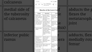 ALL MUSCLES OF LOWER LIMB ALONG WITH ITS ORIGIN  INSERTION  FUNCTION  ETC MBBS 1ST YEAR notes [upl. by Kirbie175]