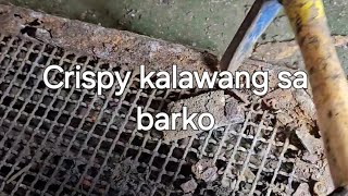 crispy kalawang sa barko [upl. by Andromache91]