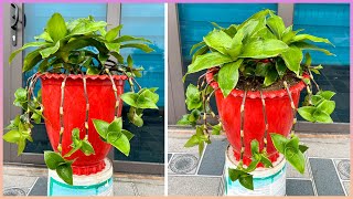 Elevate your garden with spectacular potted plants You wont believe what happens next [upl. by Enoed424]