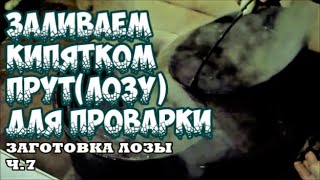 🌿⚠️ЗАЛИВАЕМ ПРУТЛОЗУ КИПЯТКОМ для ПРОВАРКИ ⚠️➤ЗАГОТОВКА ЛОЗЫ Ч7 ➤ПЛЕТЕНИЕ из ЛОЗЫ  WICKERWORK [upl. by Urias]