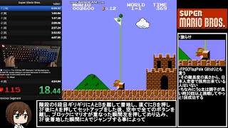 【ゆっくり解説】初代マリオRTAの世界記録をガチ解説！ Super Mario Bros Any 454881 by Niftski 【RTA】 [upl. by Lipcombe]