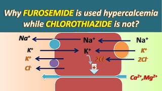 Why Furosemide is used in hypercalcemia while Chlorothiazide is not [upl. by Airelav]