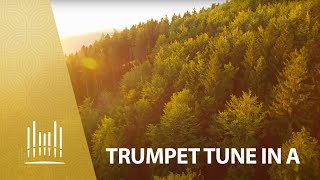 Trumpet Tune in A  The Tabernacle Choir [upl. by Coretta]