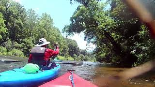 Kayaking the Tuckaseegee River  East LaPorte River Access to Webster River Access 742024 [upl. by Asiak]