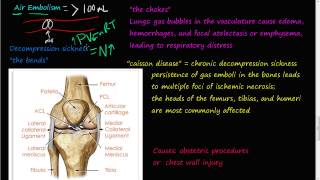 62P  Air Embolism decompression sickness the bends the chokes cassion disease [upl. by Towroy417]