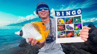 Aquarium Fish Bingo  HAWAII [upl. by Ecined]