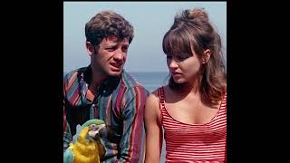 Pierrot Le Fou  Anna Karina is the Perfect Girl [upl. by Dolores]