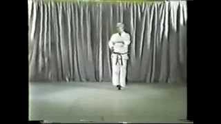 Tatsuo Suzuki  PinAn Godan 平安五段 kata [upl. by Repinuj144]