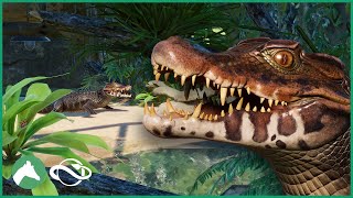 Building an Indoor DWARF CAIMAN Habitat in the Elm Hill City Zoo  Planet Zoo [upl. by Eldrida962]