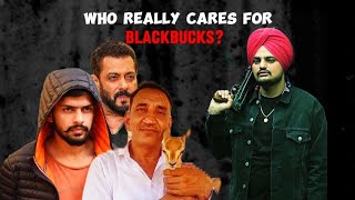 Anil Bishnoi has devoted his Life for Blackbucks😟 Why Lawrance Bishnoi has overlapsed his Goodwill [upl. by Theresa740]