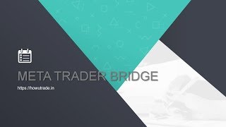 MetaTrader Bridge [upl. by Ettenuahs]