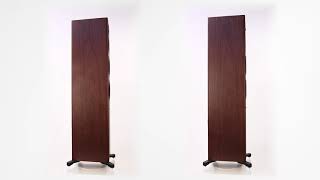 Dynaudio Evoke 50  Walnut [upl. by Sile]