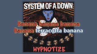 System Of A Down  Vicinity Of Obscenity Karaoke HD [upl. by Jac]