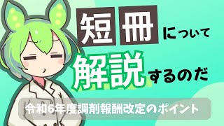 令和6年度調剤報酬改定の短冊をずんだもんが解説 [upl. by Malloch402]